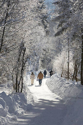 Wintertraum in Ruhpolding