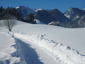 Wintertraum in Ruhpolding